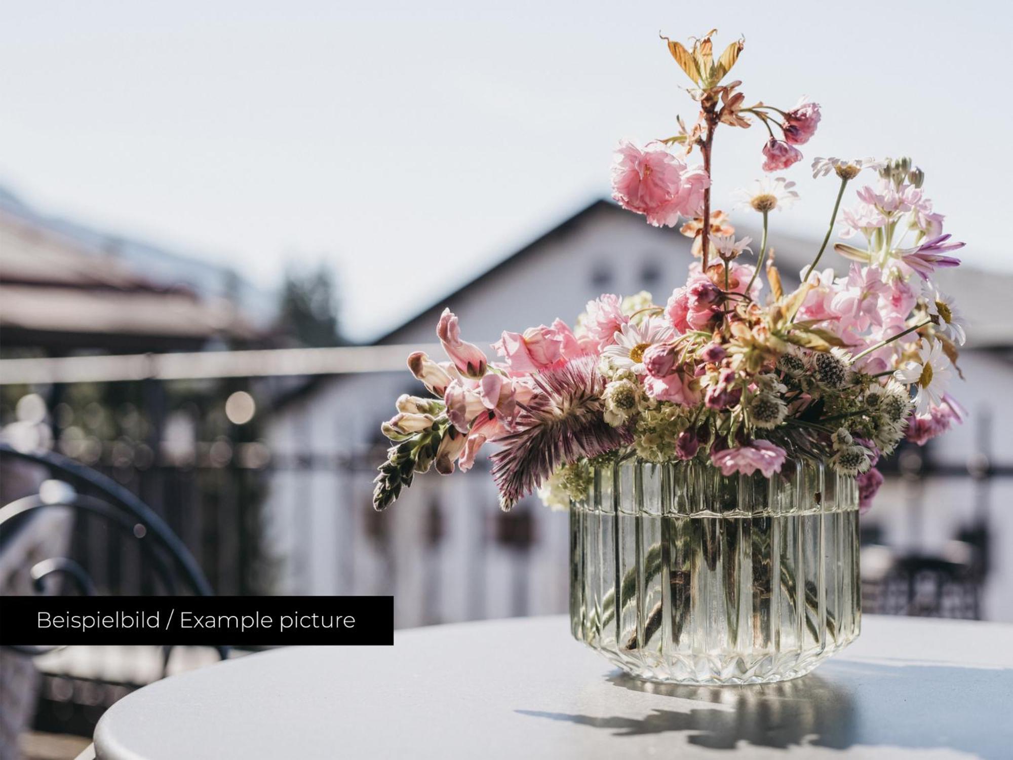Vaya Seefeld Inklusive Seefeld Gaestekarte เซเฟลด์ อิน ทิโรล ภายนอก รูปภาพ